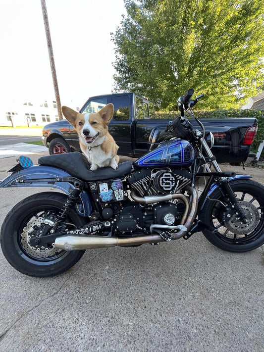 Rhett Summers Testimonial On 14" Dual Adjustable Dyna Shocks