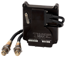 ThunderMax ECM for 2002-2007 Bagger Models