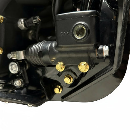 2020+ Softail Frame/Crash Bar ARP Bolt Kit