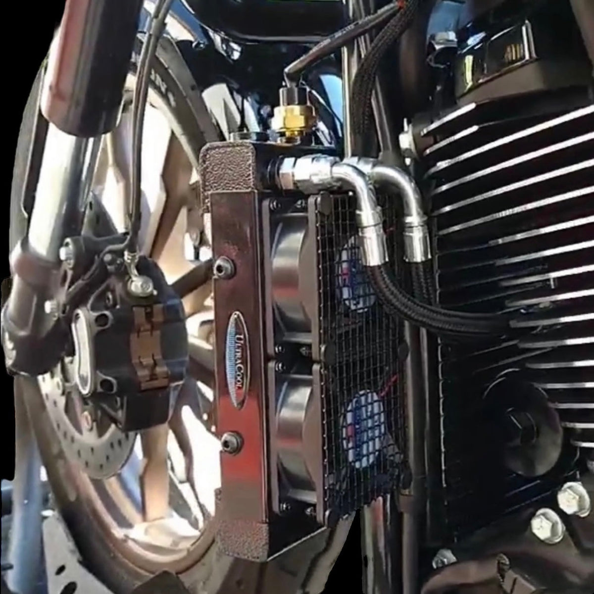 M8 Softail Oil Coolers