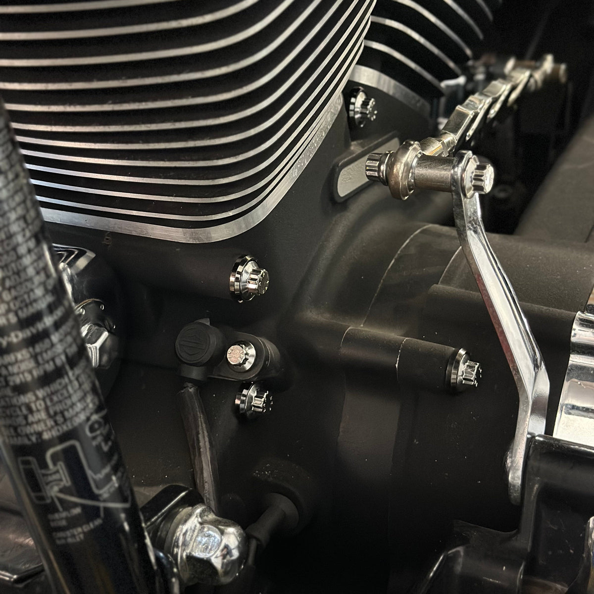 Twin Cam Case Bolts