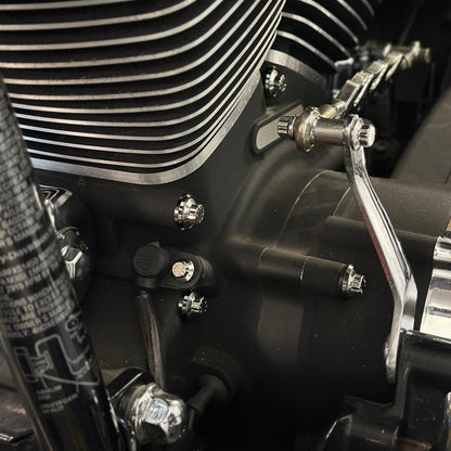 Twin Cam Case Bolts