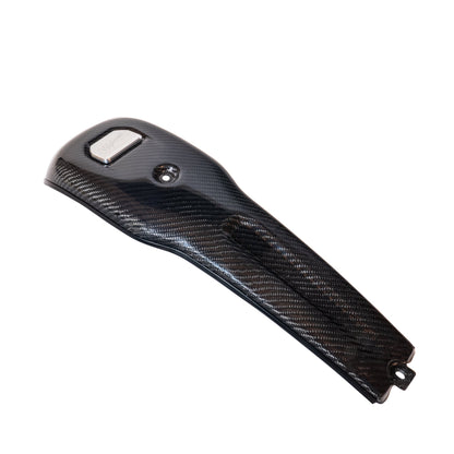 Hofmann Designs Lowrider ST Carbon Fiber Dash (2022–2024)