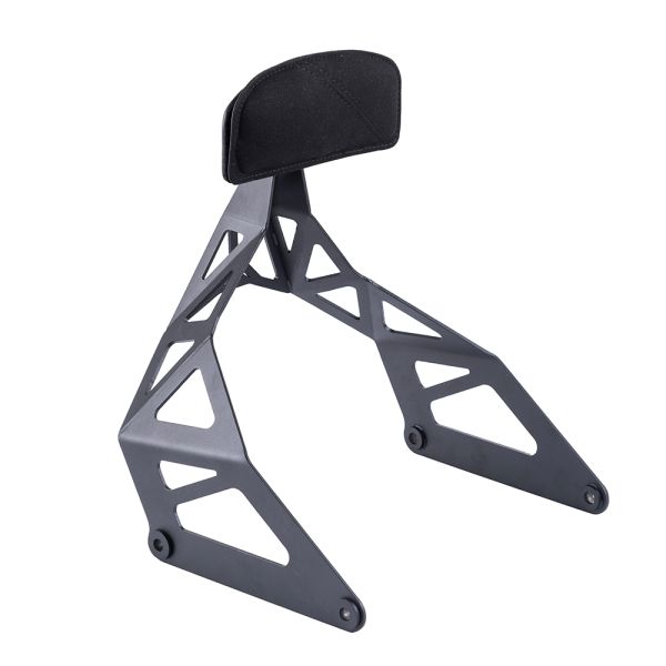 AdvanBlack Stainless Steel Sissy Bar for Harley M8 Softail Low Rider S ST & Sport Glide