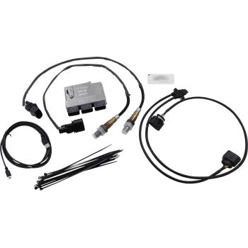 ThunderMax ECM para modelos Bagger 2014-2016