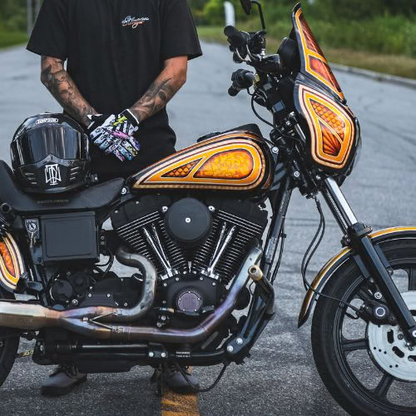 OG Twin Cam Points Cover