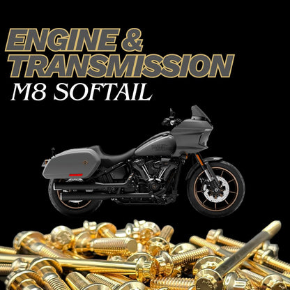 BAMCO M8 Softail Engine & Transmission ARP Bolt Kit