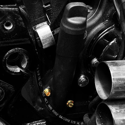 M8 Softail Oil Fill ARP Kit