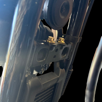 BAMCO 18+ Softail M8 Top Motor Mount ARP Bolt Kit