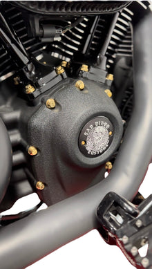 M8 Cam Cover ARP Bolts
